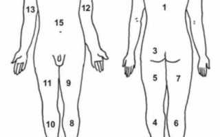 Лечебный массаж спины: техники, правила и показания