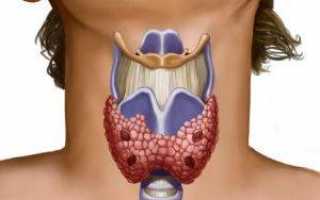 Может ли влиять шейный остеохондроз на работу щитовидной железы