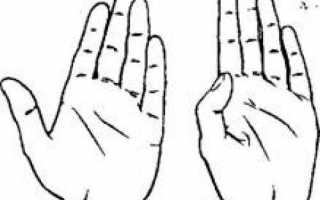 Что означает большой палец руки согласно хиромантии
