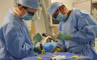 Трансплантация костного мозга: пересадка в зарубежных странах