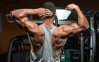 Как накачать широчайшие мышцы спины